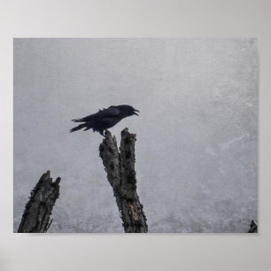 Crow Poster