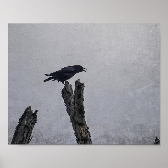 Crow Poster (Front)