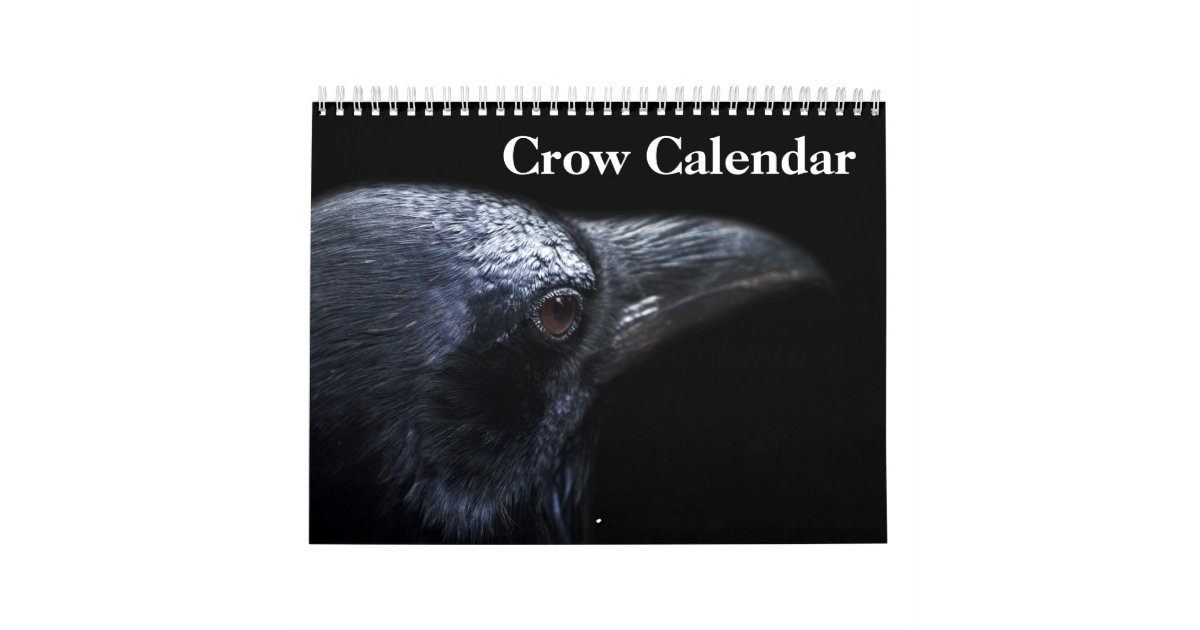 Crow Raven 2024 Calendar Zazzle