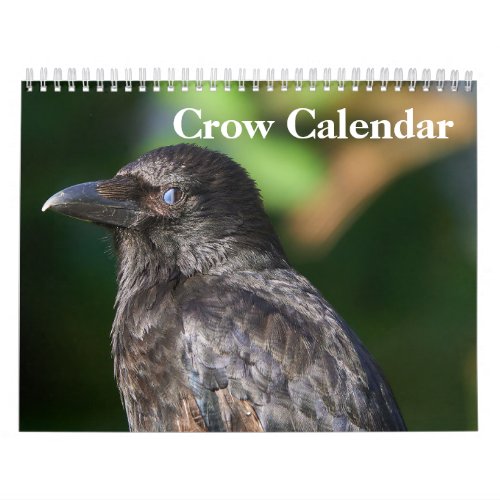 Crow Raven 2024 Calendar