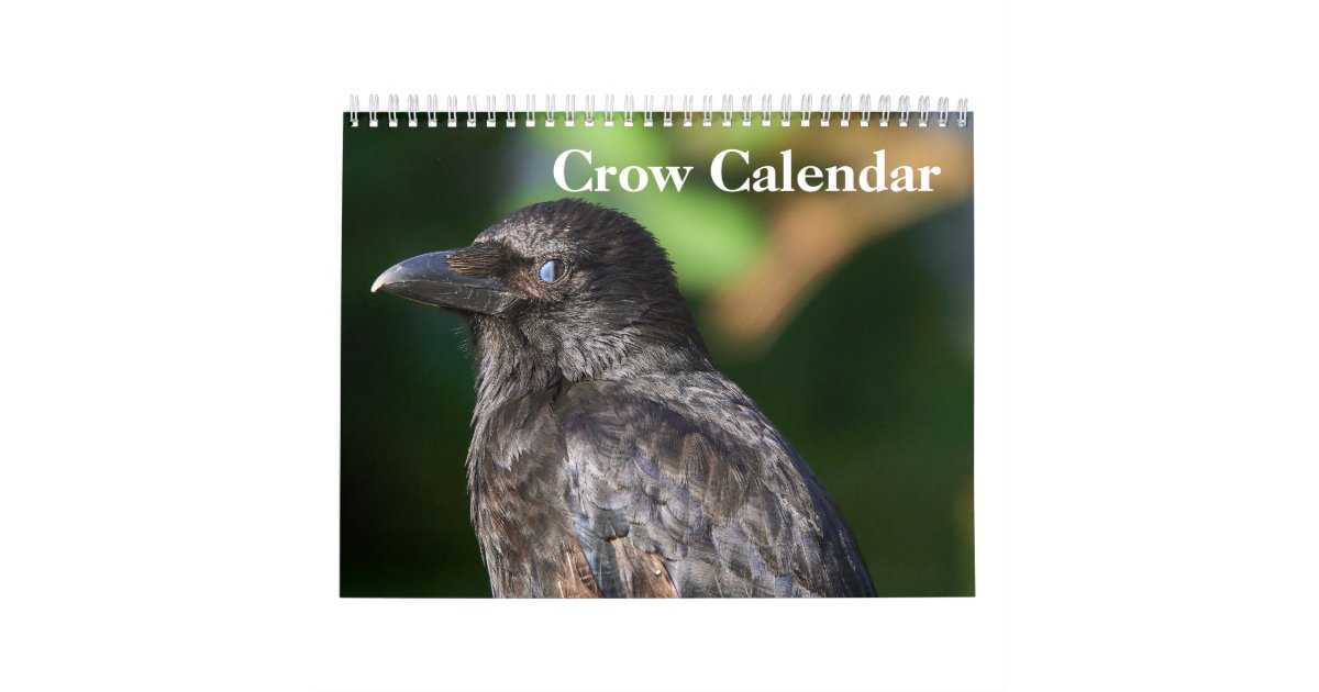 Crow Raven 2024 Calendar Zazzle