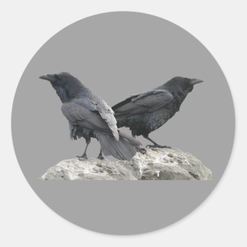 Crow Raven Classic Round Sticker