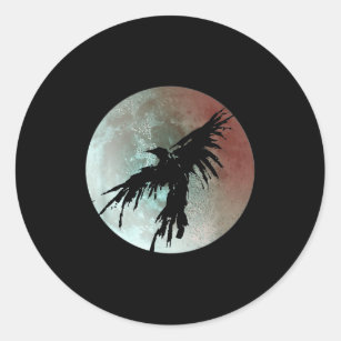 : Crow Raven Distressed Flying Bird Full Moon Raven Crow T-Shirt  : Clothing, Shoes & Jewelry