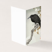 Crow Raven Koson Japanese Bird (Outside)