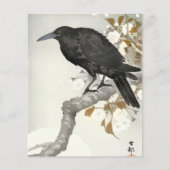Crow Raven Koson Japanese Bird (Front)