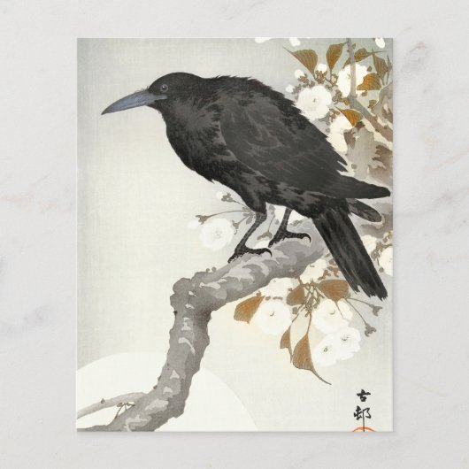Crow Raven Koson Japanese Bird (Front)