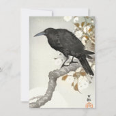 Crow Raven Koson Japanese Bird Crow (Front)