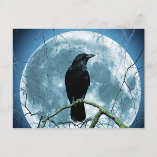 Crow Raven Moon Night Gothic Fantasy Stunning Postcard