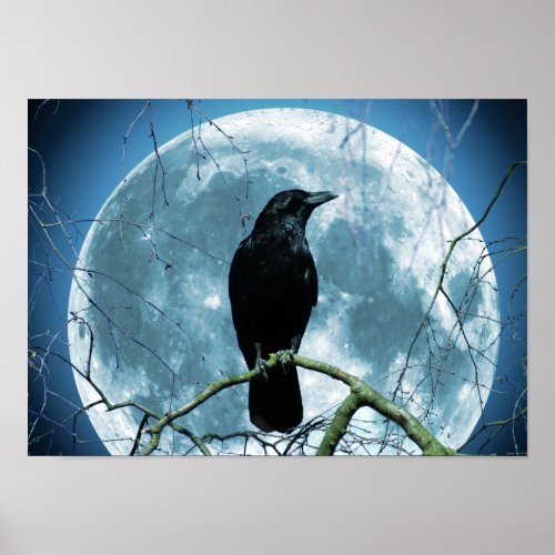 Crow Raven Moon Night Gothic Fantasy Stunning Poster