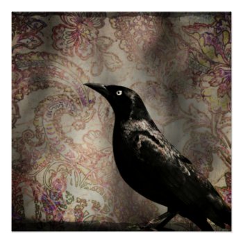 Crow/raven Poster by Vanillaextinctions at Zazzle