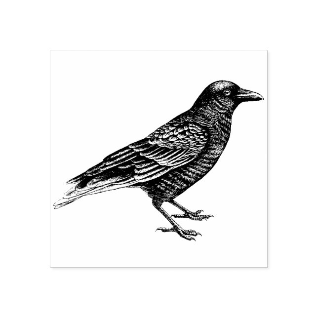 Crow Rubber Stamp (Imprint)