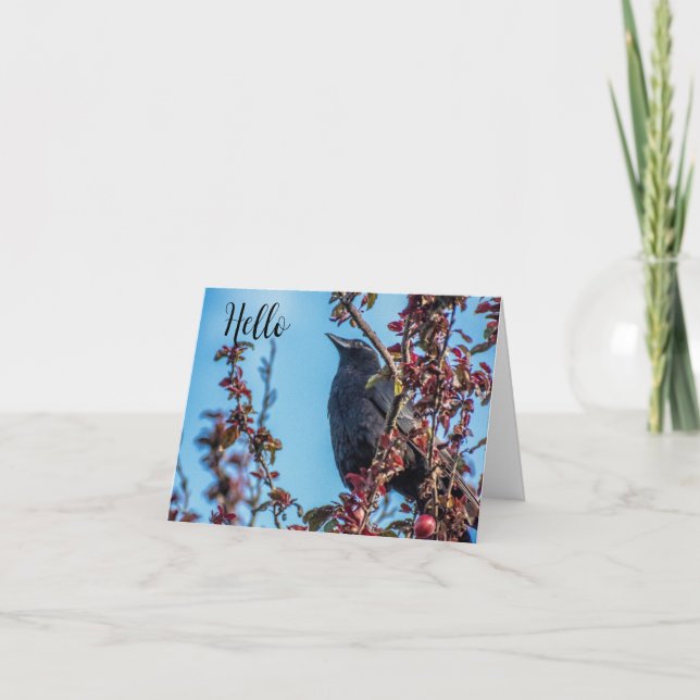 Crow Says Hello  Thank You Card (Front)