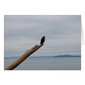 Crow Sentinel Cards