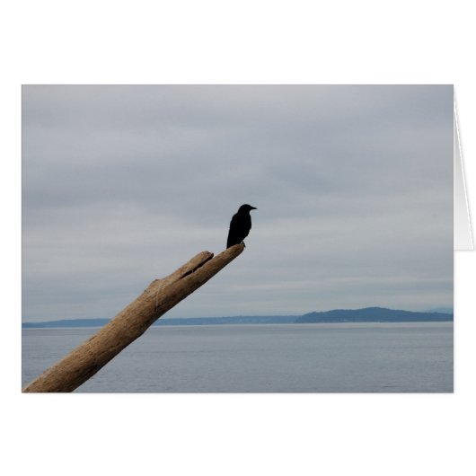 Crow Sentinel Cards (Front Horizontal)