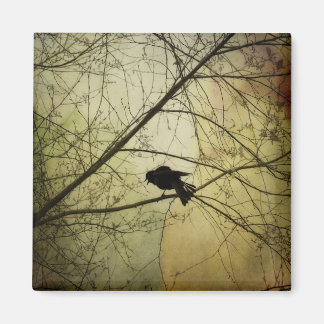 Crow Speak Magnet