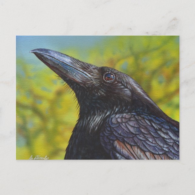 Crow Spring Sky Postcard (Front)