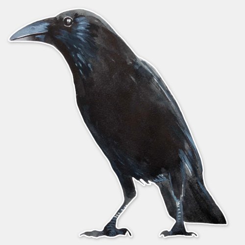 Crow  sticker