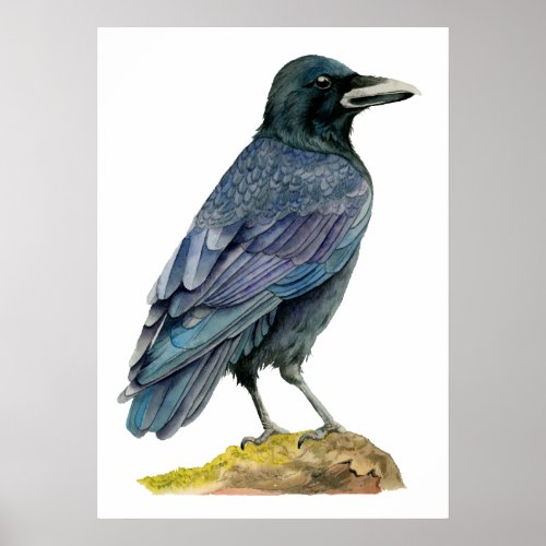 Crow Watercolor Painting Poster