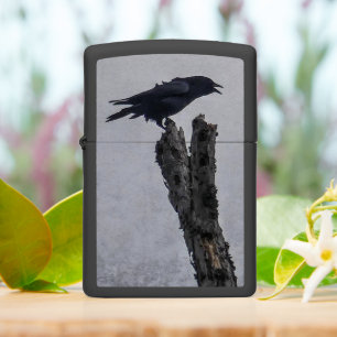 Crow zippo lighter