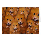Crowd of Cute Hamsters: Original Art (Front Horizontal)