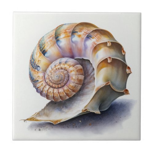 Crowie Conch Shell Watercolor Tile