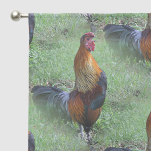Crowing Rooster Nature Art Pattern Sheer Curtains
