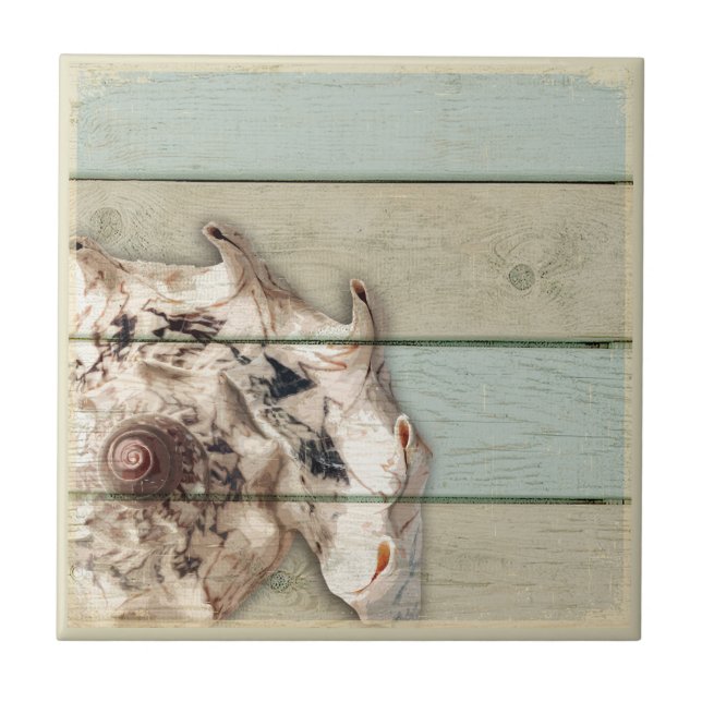 Crown Conch Tile (Front)