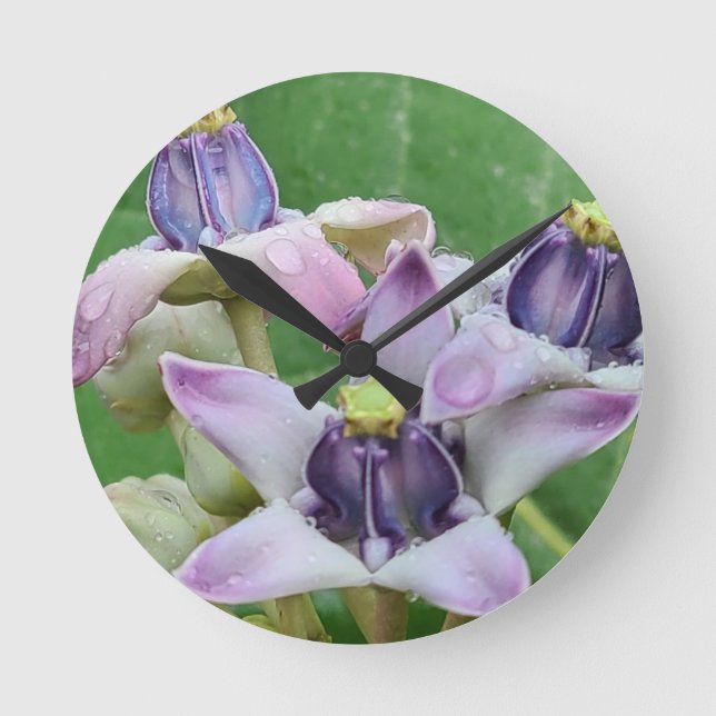 Crown Flower Wall Clock (Front)