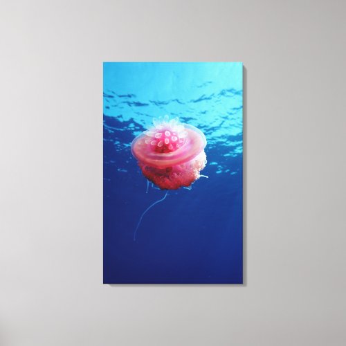 Crown Jellyfish Canvas Print
