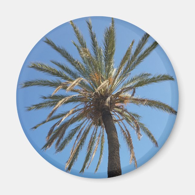 crown of a palm tree magnet (Front)
