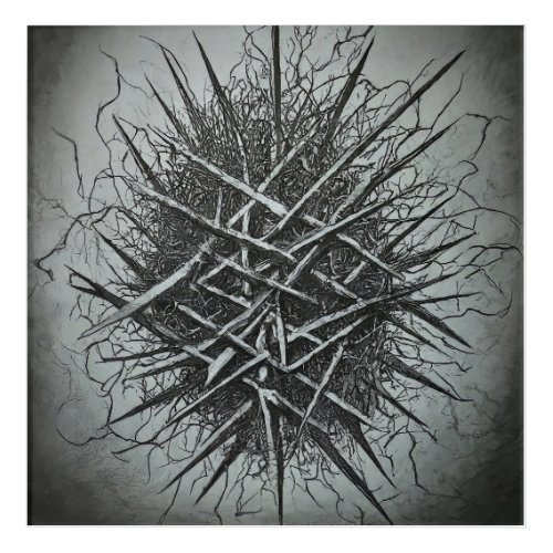 Crown of Thorns Acrylic Print