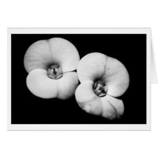 crown of thorns cards