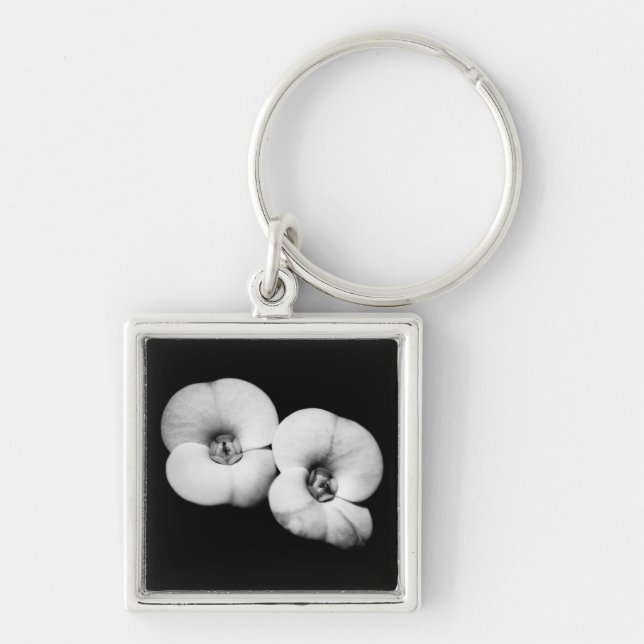 crown of thorns keychain (Front)