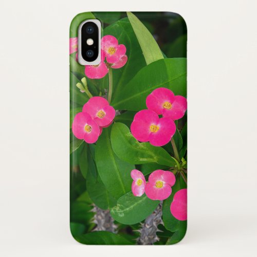 Crown of Thorns pink blossoms iPhone X Case