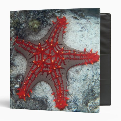 Crown Of Thorns Starfish On The Coral Reef Binder