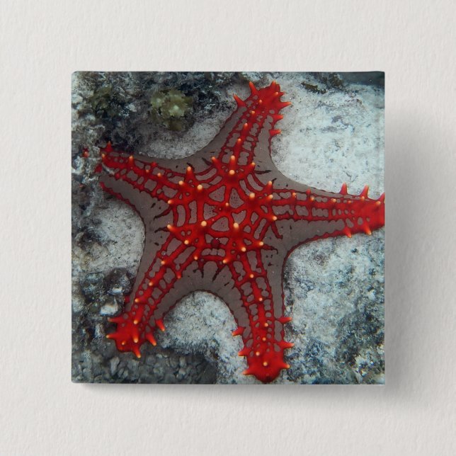 Crown Of Thorns Starfish On The Coral Reef Pinback Button (Front)