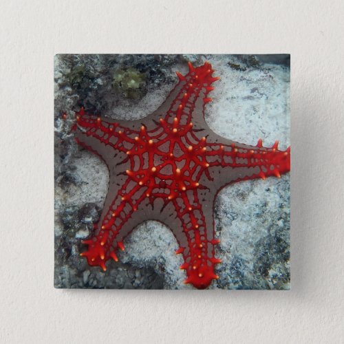 Crown Of Thorns Starfish On The Coral Reef Pinback Button