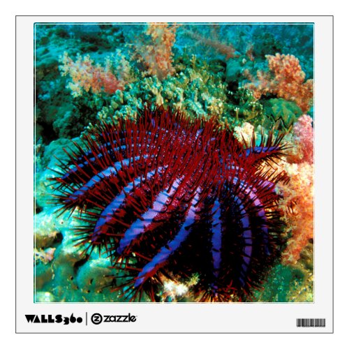 Crown_Of_Thorns Starfish Wall Decal