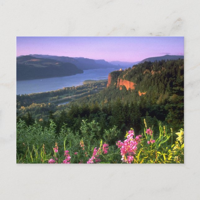 Crown Point, Columbia River Gorge, Oregon Postcard (Front)
