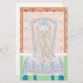 Crown Princess Yorkie (Front/Back)