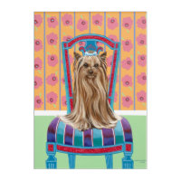 Crown Princess Yorkie