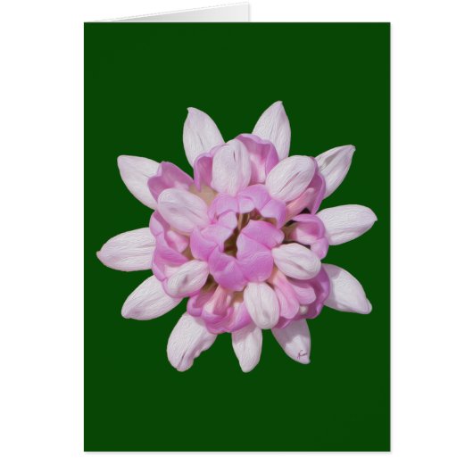 Crown Vetch #1 Cards (Front)