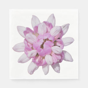 Crown Vetch #1 Napkins