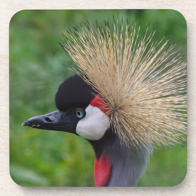 Crowned Crane Beverage Coaster (Front)