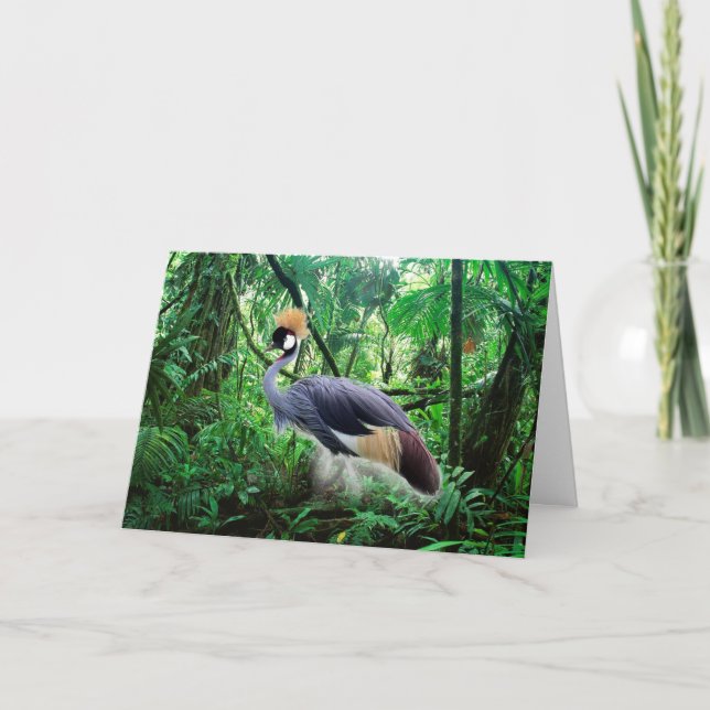 Crowned Crane Birthday Card (Front)