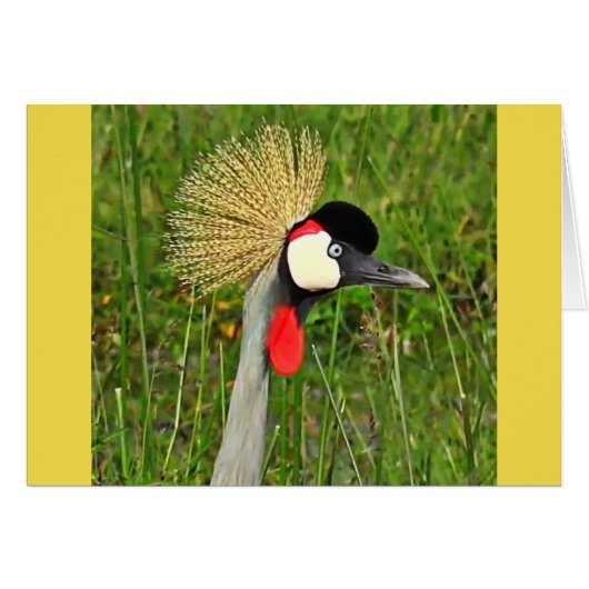 Crowned Crane Cards (Front Horizontal)