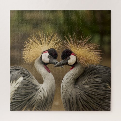 Crowned Cranes Jigsaw Puzzle