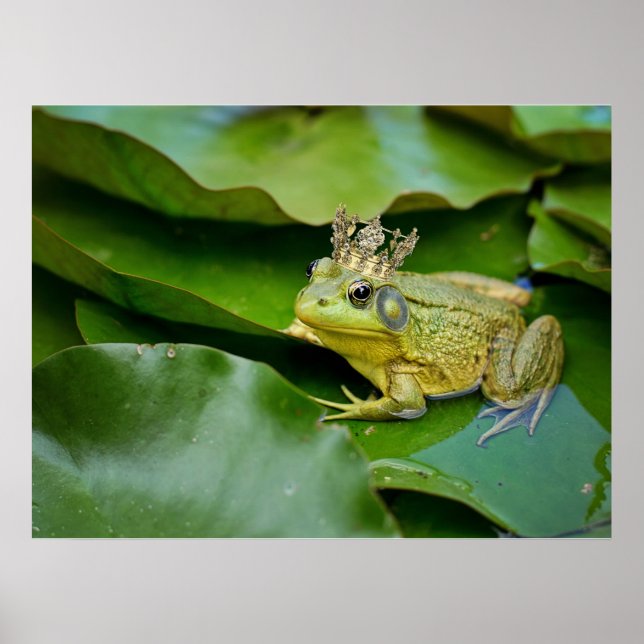 Crowned Frog Prince on Lily Pad Poster (Front)