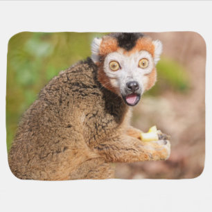 Crowned Lemur's Surprise: A Candid Expression Baby Blanket