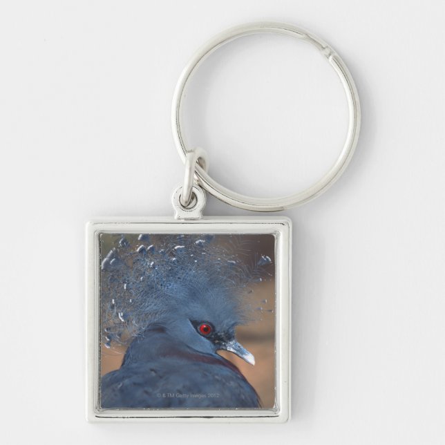 crowned pigeon keychain (Front)